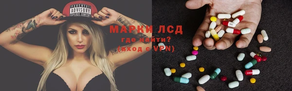 стаф Беломорск
