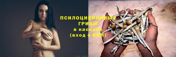 амф Белокуриха