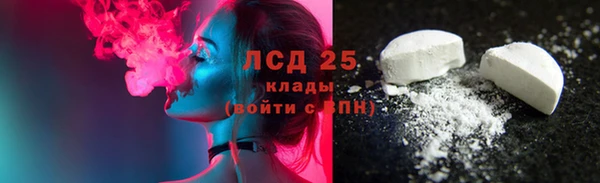 шишки Белоозёрский