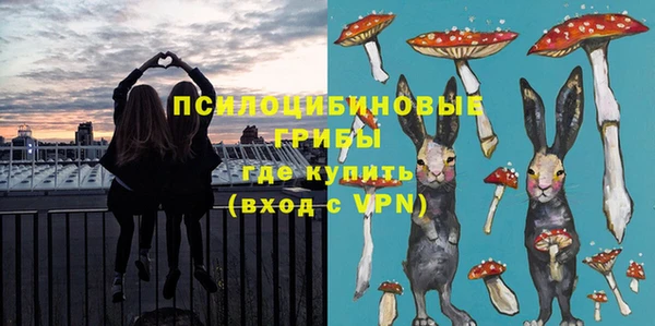 стаф Беломорск