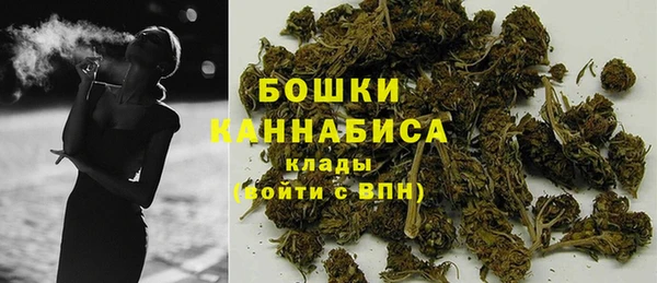 шишки Белоозёрский