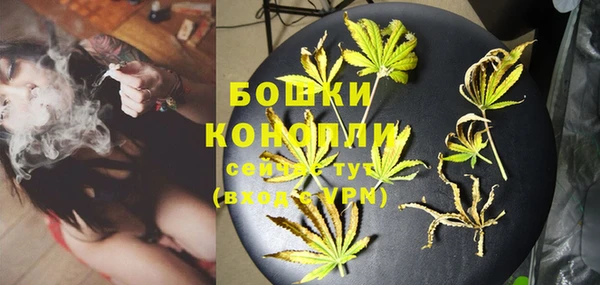 амф Белокуриха