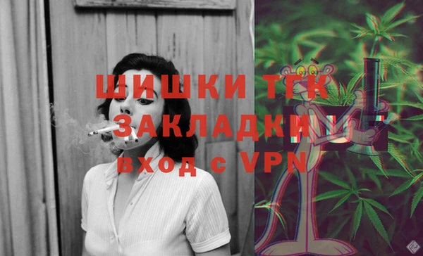 шишки Белоозёрский