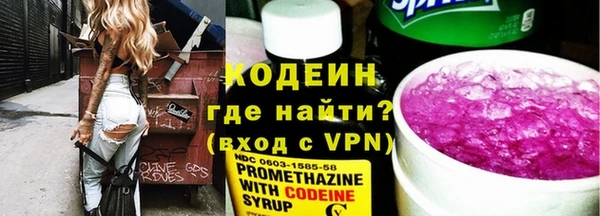 шишки Белоозёрский