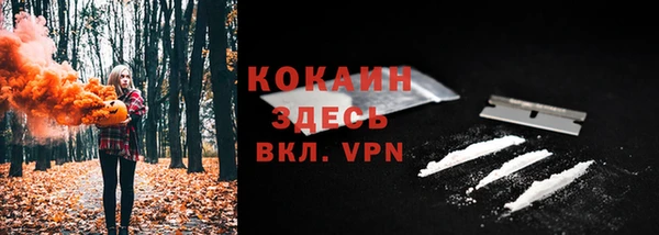шишки Белоозёрский
