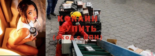 шишки Белоозёрский