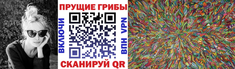 Галлюциногенные грибы GOLDEN TEACHER Елизово